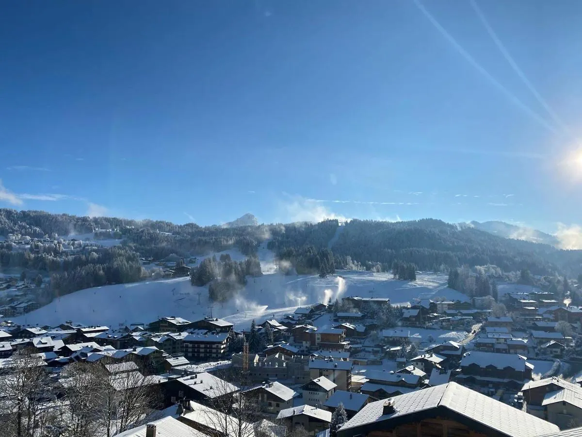 Chalet De Luxe Avec Spa, Sauna, Parking, Wifi Et Animaux Admis - Fr-1-598-41 Les Gets
